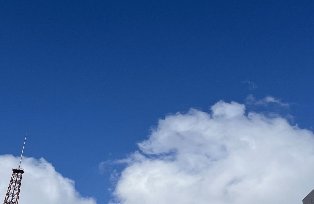  10. ピンゲキュラと翼状片