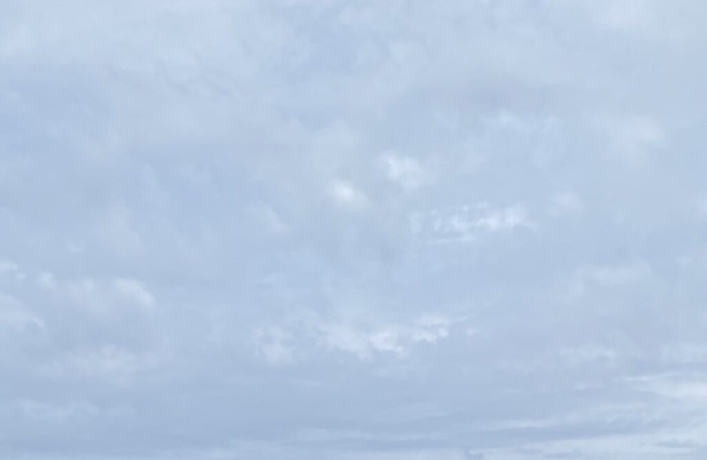 日本アカデミー賞「最優秀助演女優賞」受賞の安藤サクラ、主演の『ブラッシュアップライフ』がまた草彅剛『罠の戦争』を抑え1位！