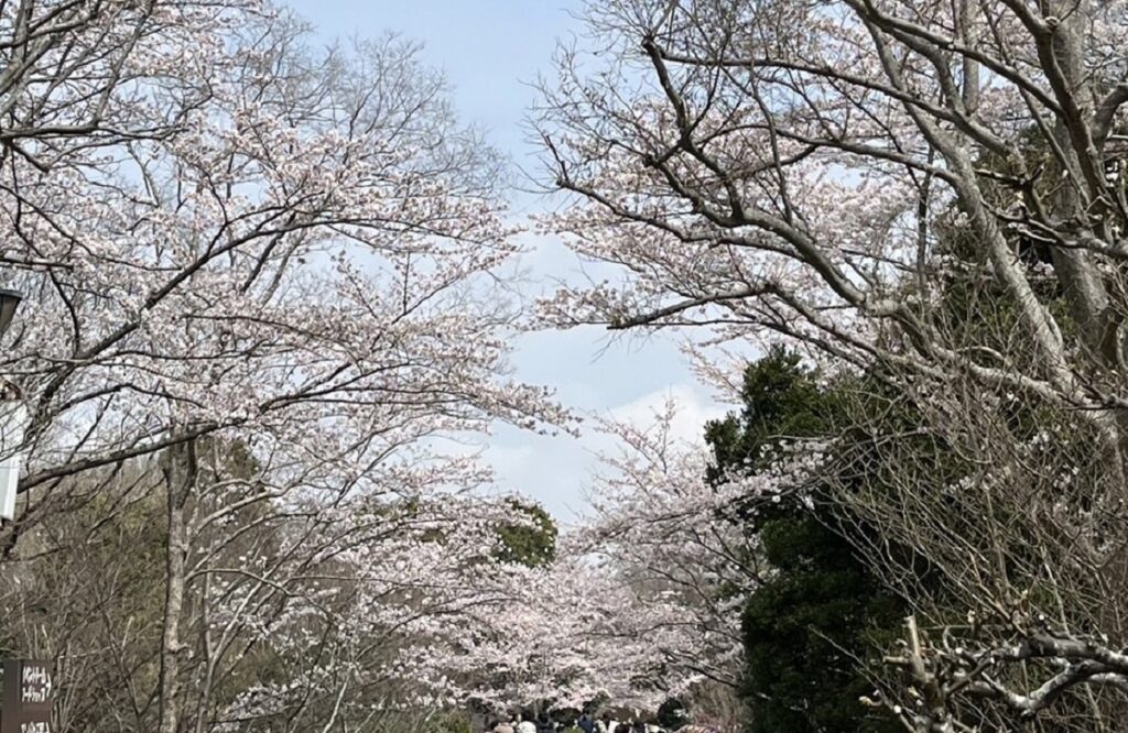 三浦春馬さん公式ツイッター『天外者』春の特別上映 vol.2を昼になって告知