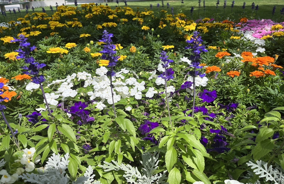 『世界陸上』圧倒的優勝候補のヤコブ・インゲブリクトセンまたも2位…再びイギリス勢に屈す The Audience