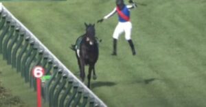 JRA・坂井瑠星が新潟記念で放馬負傷のライトバックおよび自身の飛び降り逃避について説明