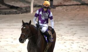 【JRA】松岡隆雄オーナーが激怒、サンライズジパングなど一斉に新谷厩舎から前川厩舎へ転厩「『ザ・ロイヤルファミリー』が現実になった」の声