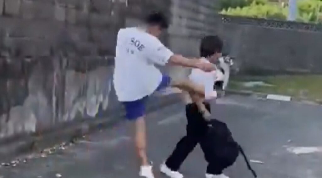 【沖縄いじめ暴行傷害事件】加害者は現在、宮崎県の中学生 当時は浦添市立浦添中学校の男子生徒