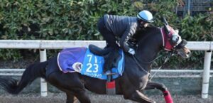 ジューンテイク「異常なし」香港・シャティン競馬場で追い切り中、モレイラ騎手が下馬し馬運車で搬送されるも